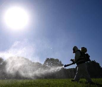 Dengue, gli esperti: “Bene modello marchigiano per contenere focolaio”