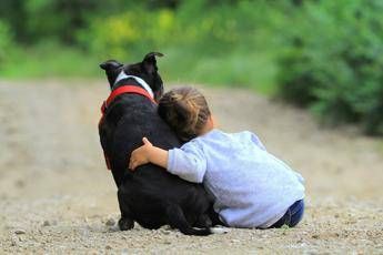 ‘Non diamo la colpa ai cani’, pediatri e veterinari per convivenza sicura con bimbi