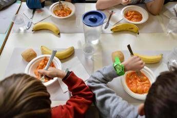 Gallarate, malori a scuola dopo mensa: i bambini sono positivi al norovirus